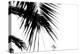 Palm Leaves, Cross, B/W-Nikky-Premier Image Canvas