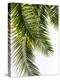 Palm Leaves-Lexie Greer-Premier Image Canvas