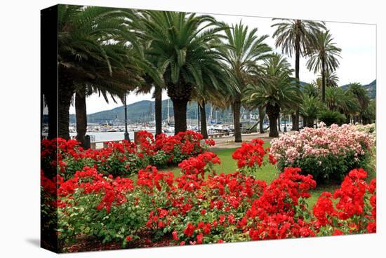 Palm-lined Promenade at the Gulf, City of La Spezia, Italian Riviera, Liguria, Italy-null-Stretched Canvas