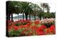 Palm-lined Promenade at the Gulf, City of La Spezia, Italian Riviera, Liguria, Italy-null-Stretched Canvas