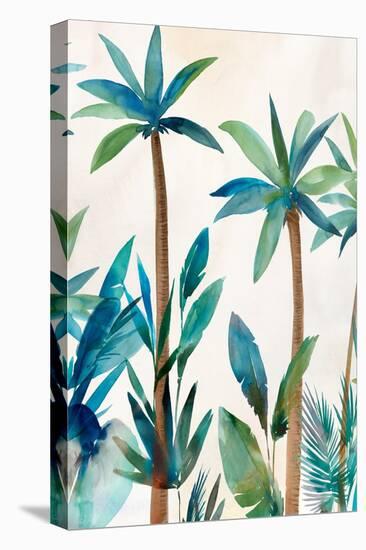 Palm Oasis II-Aria K-Stretched Canvas