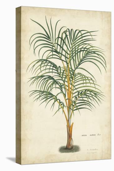 Palm of the Tropics III-Horto Van Houtteano-Stretched Canvas