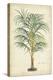 Palm of the Tropics III-Horto Van Houtteano-Stretched Canvas