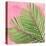 Palm on Pink I-Mia Jensen-Stretched Canvas