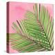 Palm on Pink I-Mia Jensen-Stretched Canvas