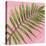Palm on Pink II-Mia Jensen-Stretched Canvas