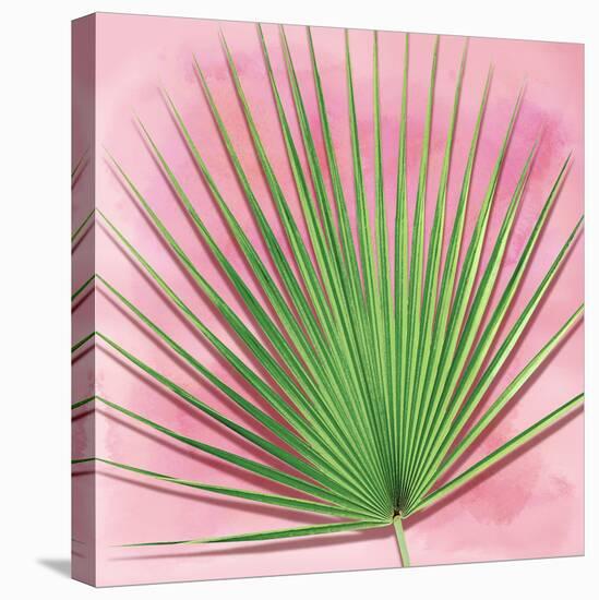 Palm on Pink III-Mia Jensen-Stretched Canvas