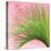Palm on Pink IV-Mia Jensen-Stretched Canvas