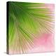 Palm on Pink VI-Mia Jensen-Stretched Canvas