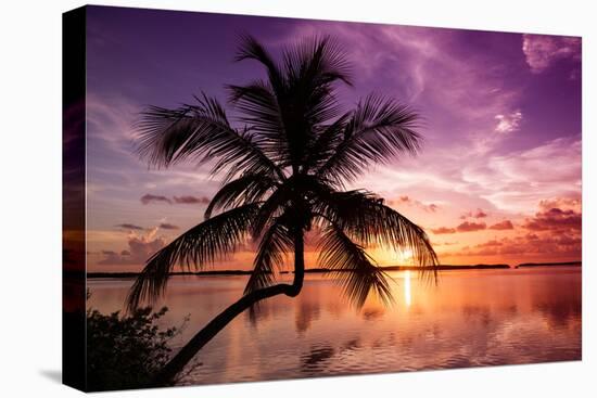 Palm Paradise at Sunset - Florida - USA-Philippe Hugonnard-Premier Image Canvas