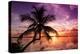 Palm Paradise at Sunset - Florida - USA-Philippe Hugonnard-Premier Image Canvas