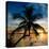 Palm Paradise at Sunset - Florida - USA-Philippe Hugonnard-Premier Image Canvas