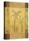 Palm Patterns II-Fernando Leal-Stretched Canvas