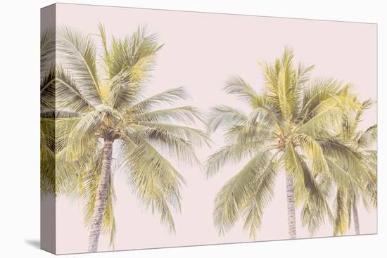 Palm Shade-Irene Suchocki-Stretched Canvas