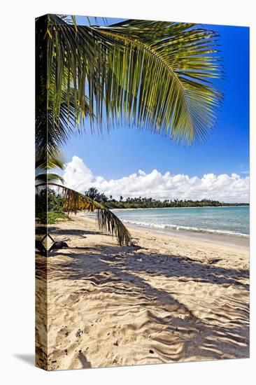 Palm Shadow, Loiza, Puerto Rico-George Oze-Premier Image Canvas