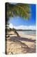 Palm Shadow, Loiza, Puerto Rico-George Oze-Premier Image Canvas