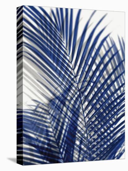 Palm Shadows Blue I-Melonie Miller-Stretched Canvas