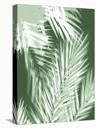 Palm Shadows Green II-Melonie Miller-Stretched Canvas