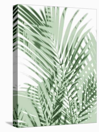 Palm Shadows Green III-Melonie Miller-Stretched Canvas