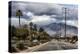 Palm Spring-Janice Sullivan-Premier Image Canvas