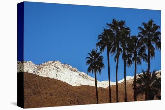 Palm Springs, California-Zandria Muench Beraldo-Premier Image Canvas