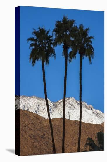 Palm Springs, California-Zandria Muench Beraldo-Premier Image Canvas