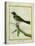 Palm Tanager-Georges-Louis Buffon-Premier Image Canvas