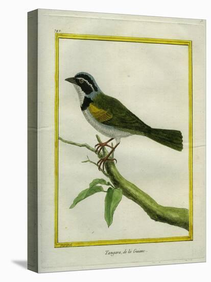 Palm Tanager-Georges-Louis Buffon-Premier Image Canvas