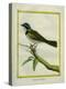 Palm Tanager-Georges-Louis Buffon-Premier Image Canvas