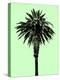Palm Tree 1996 (Green)-Erik Asla-Premier Image Canvas