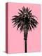 Palm Tree 1996 (Pink)-Erik Asla-Premier Image Canvas