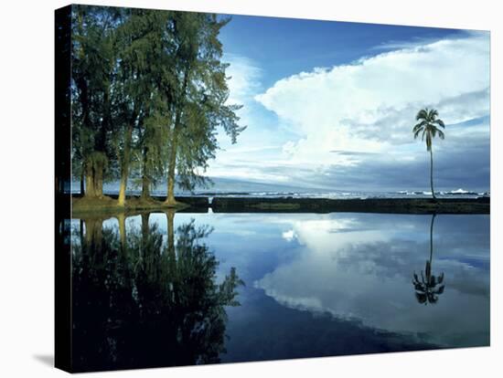 Palm Tree Alone, Big Island, Hawaii-Monte Nagler-Premier Image Canvas
