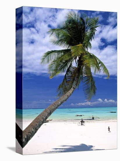 Palm Tree and Beach, Zanzibar, Tanzania-Peter Adams-Premier Image Canvas