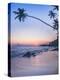 Palm Tree at Sunset on Tropical Mirissa Beach-Matthew Williams-Ellis-Premier Image Canvas