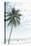 Palm Tree at the Beach 2-Photolovers-Premier Image Canvas