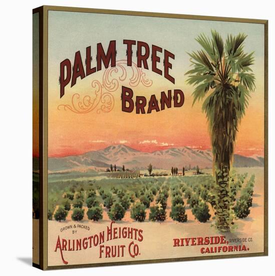 Palm Tree Brand - Riverside, California - Citrus Crate Label-Lantern Press-Stretched Canvas