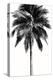 Palm Tree I-Devon Davis-Stretched Canvas