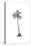 Palm Tree - Icon-Lantern Press-Stretched Canvas