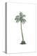 Palm Tree - Icon-Lantern Press-Stretched Canvas