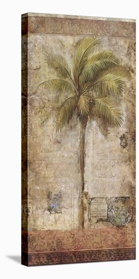 Palm Tree II-Kemp-Stretched Canvas