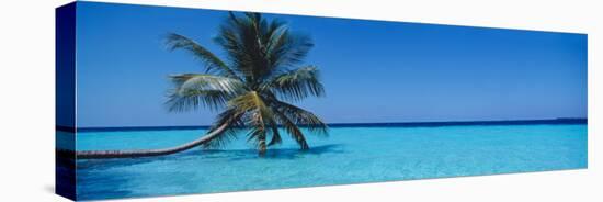 Palm Tree in the Sea, Maldives-null-Premier Image Canvas