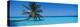 Palm Tree in the Sea, Maldives-null-Premier Image Canvas