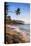 Palm Tree, Mirissa Beach, South Coast of Sri Lanka, Sri Lanka, Asia-Matthew Williams-Ellis-Premier Image Canvas