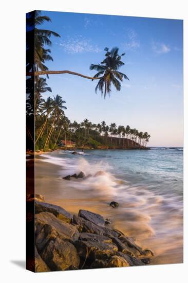 Palm Tree, Mirissa Beach, South Coast of Sri Lanka, Sri Lanka, Asia-Matthew Williams-Ellis-Premier Image Canvas