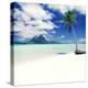 Palm Tree on a Tropical Beach-null-Premier Image Canvas