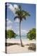 Palm Tree on Beach at Magens Bay-Macduff Everton-Premier Image Canvas