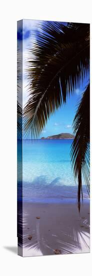 Palm Tree on the Beach, Maho Bay, Virgin Islands National Park, St. John, Us Virgin Islands-null-Stretched Canvas