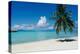 Palm Tree On The Beach, Moana Beach, Bora Bora, Tahiti, French Polynesia-null-Premier Image Canvas