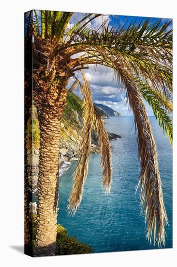 Palm Tree on the Hillside, Vernazza, Italy-George Oze-Premier Image Canvas