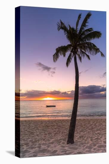 Palm tree on tropical beach during sunset, Le Morne Brabant, Black River district, Mauritius-Roberto Moiola-Premier Image Canvas